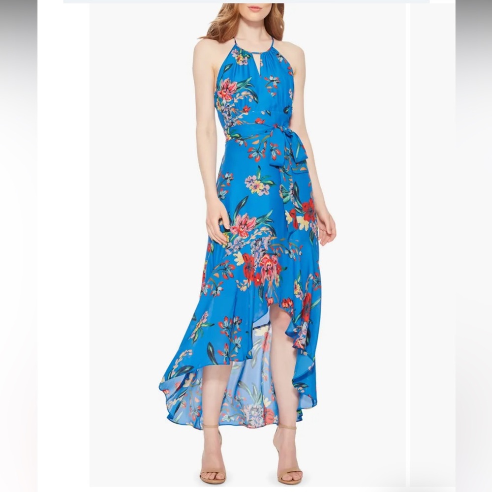 Parker Davina Floral High/Low Dress